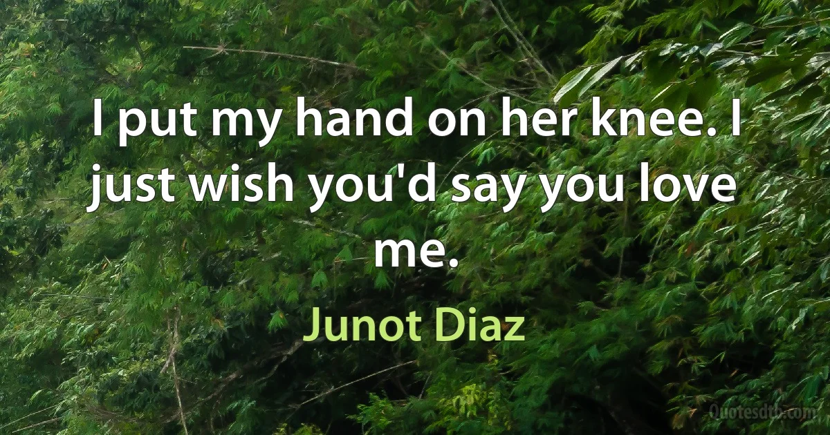 I put my hand on her knee. I just wish you'd say you love me. (Junot Diaz)