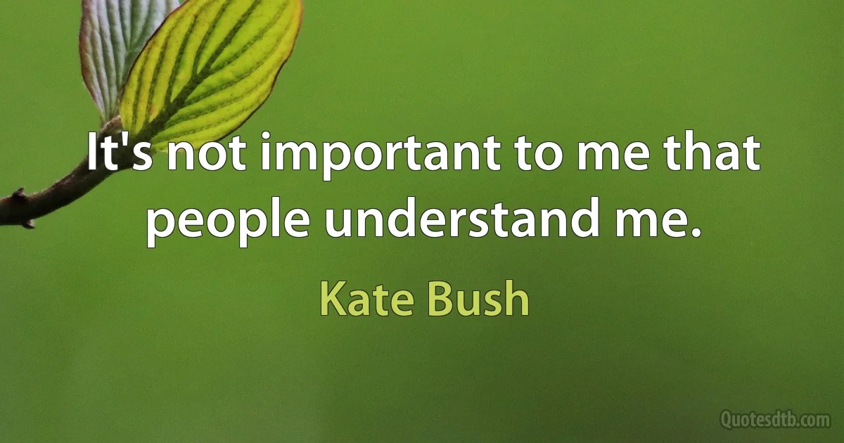 It's not important to me that people understand me. (Kate Bush)