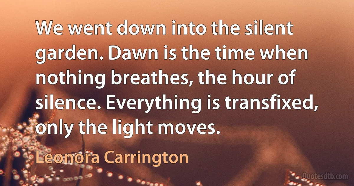 We went down into the silent garden. Dawn is the time when nothing breathes, the hour of silence. Everything is transfixed, only the light moves. (Leonora Carrington)