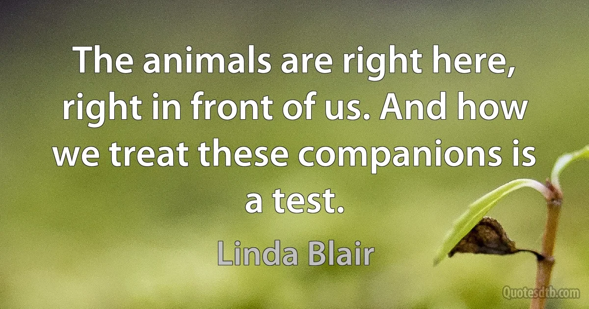 The animals are right here, right in front of us. And how we treat these companions is a test. (Linda Blair)