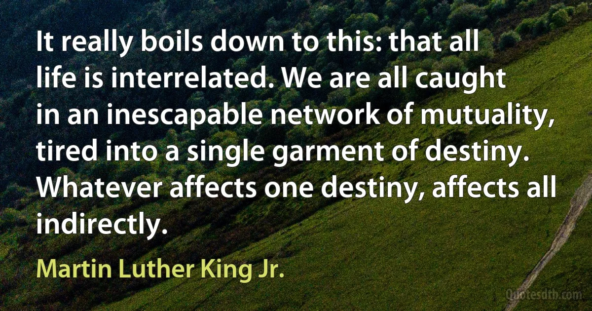 It really boils down to this: that all life is interrelated. We are all caught in an inescapable network of mutuality, tired into a single garment of destiny. Whatever affects one destiny, affects all indirectly. (Martin Luther King Jr.)