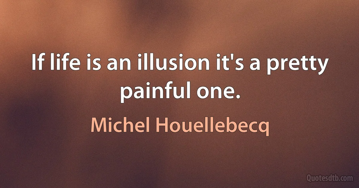 If life is an illusion it's a pretty painful one. (Michel Houellebecq)