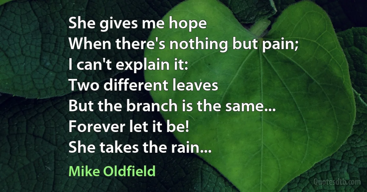 She gives me hope
When there's nothing but pain;
I can't explain it:
Two different leaves
But the branch is the same...
Forever let it be!
She takes the rain... (Mike Oldfield)