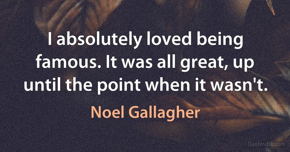 I absolutely loved being famous. It was all great, up until the point when it wasn't. (Noel Gallagher)