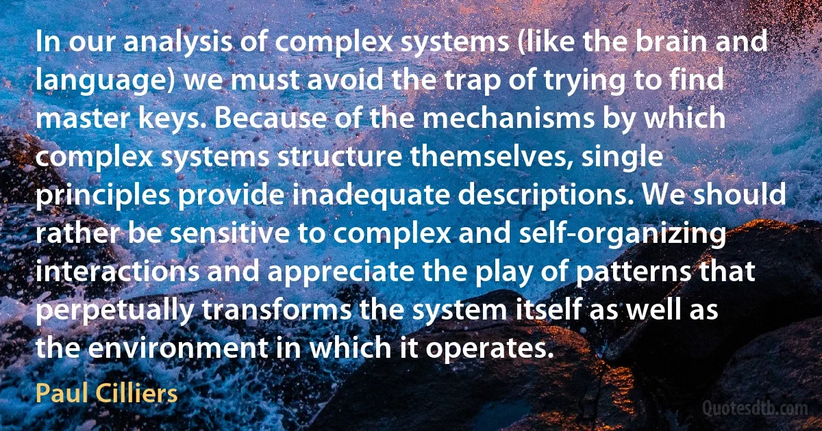 In our analysis of complex systems (like the brain and language) we must avoid the trap of trying to find master keys. Because of the mechanisms by which complex systems structure themselves, single principles provide inadequate descriptions. We should rather be sensitive to complex and self-organizing interactions and appreciate the play of patterns that perpetually transforms the system itself as well as the environment in which it operates. (Paul Cilliers)