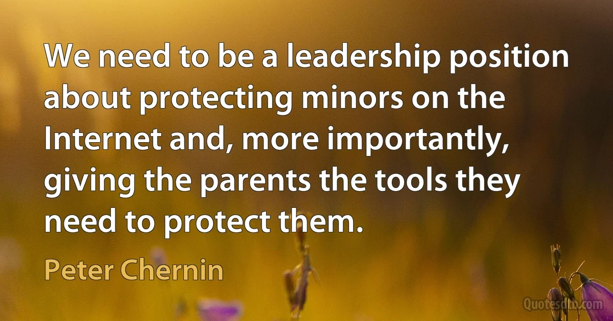 We need to be a leadership position about protecting minors on the Internet and, more importantly, giving the parents the tools they need to protect them. (Peter Chernin)