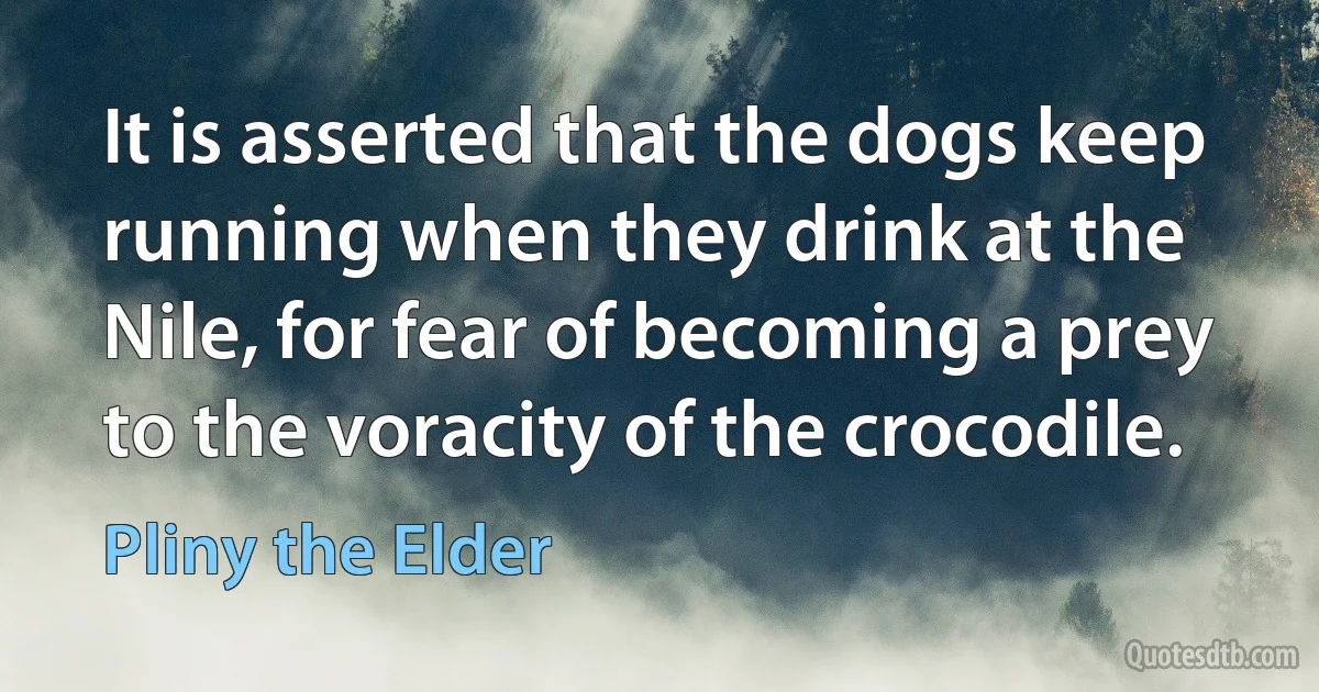 It is asserted that the dogs keep running when they drink at the Nile, for fear of becoming a prey to the voracity of the crocodile. (Pliny the Elder)