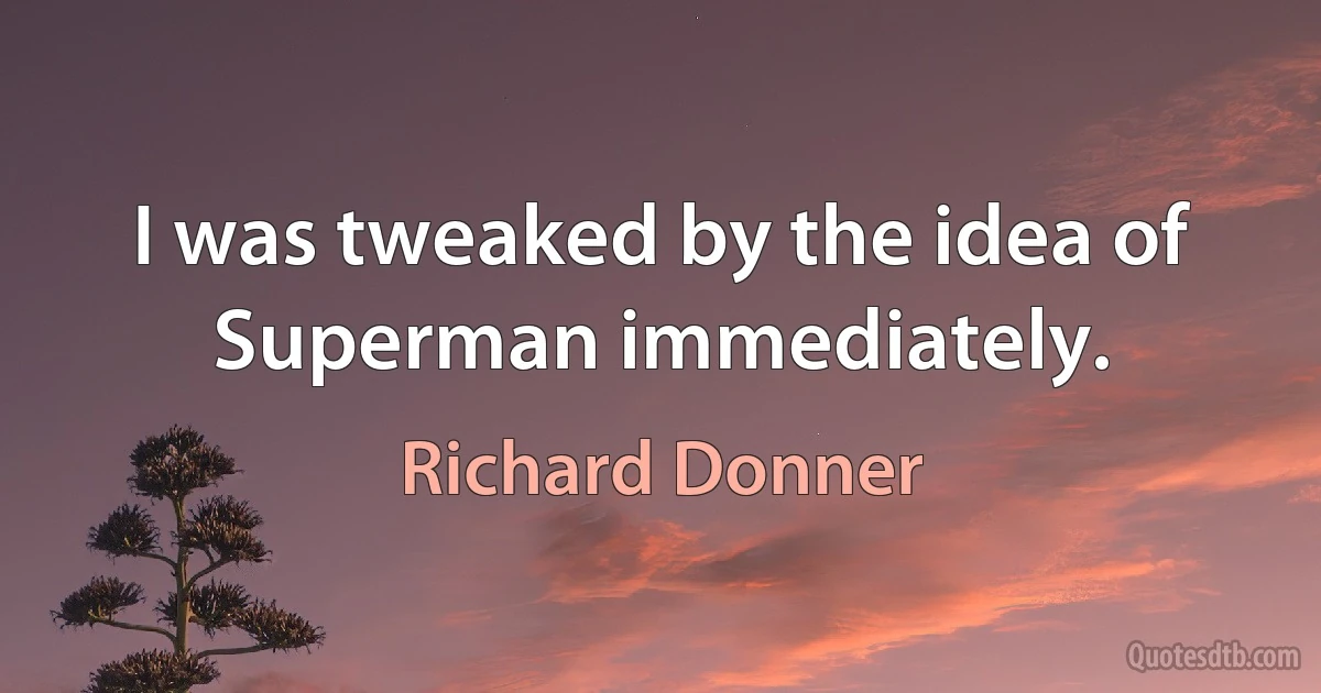 I was tweaked by the idea of Superman immediately. (Richard Donner)