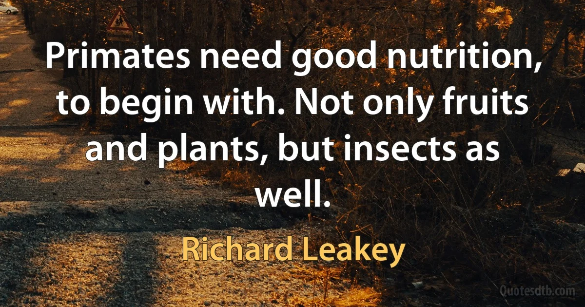 Primates need good nutrition, to begin with. Not only fruits and plants, but insects as well. (Richard Leakey)