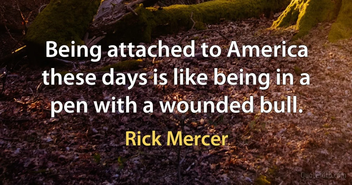 Being attached to America these days is like being in a pen with a wounded bull. (Rick Mercer)