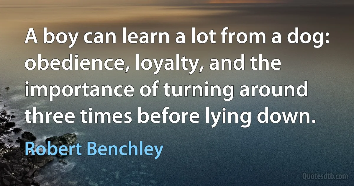 A boy can learn a lot from a dog: obedience, loyalty, and the importance of turning around three times before lying down. (Robert Benchley)