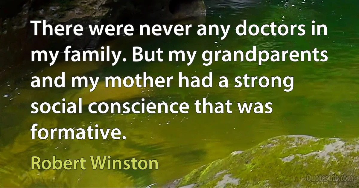 There were never any doctors in my family. But my grandparents and my mother had a strong social conscience that was formative. (Robert Winston)