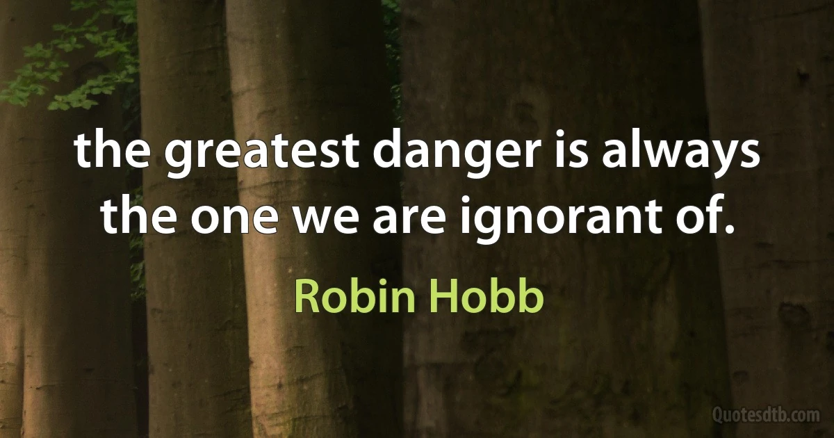 the greatest danger is always the one we are ignorant of. (Robin Hobb)