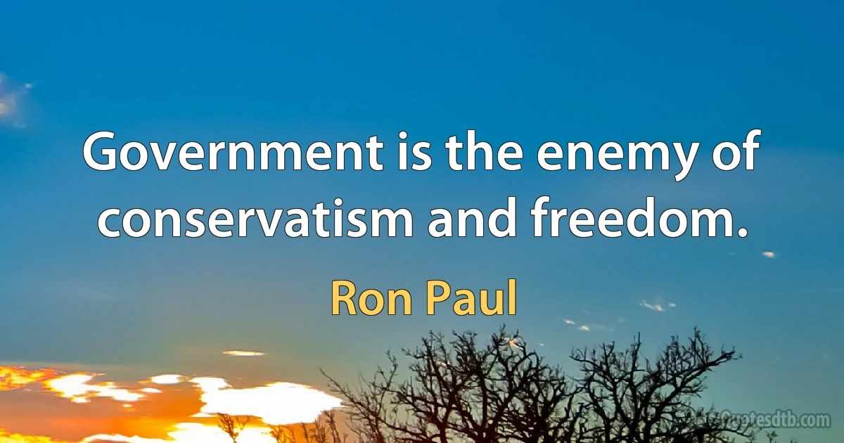 Government is the enemy of conservatism and freedom. (Ron Paul)