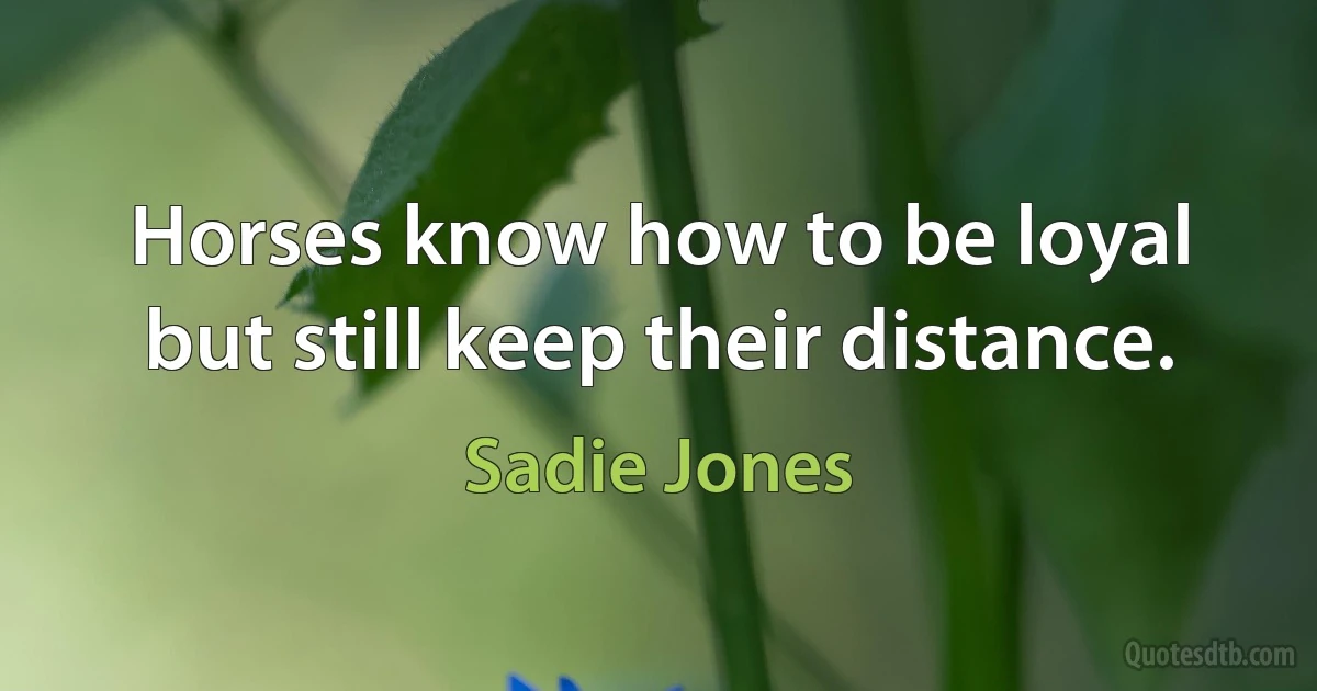 Horses know how to be loyal but still keep their distance. (Sadie Jones)