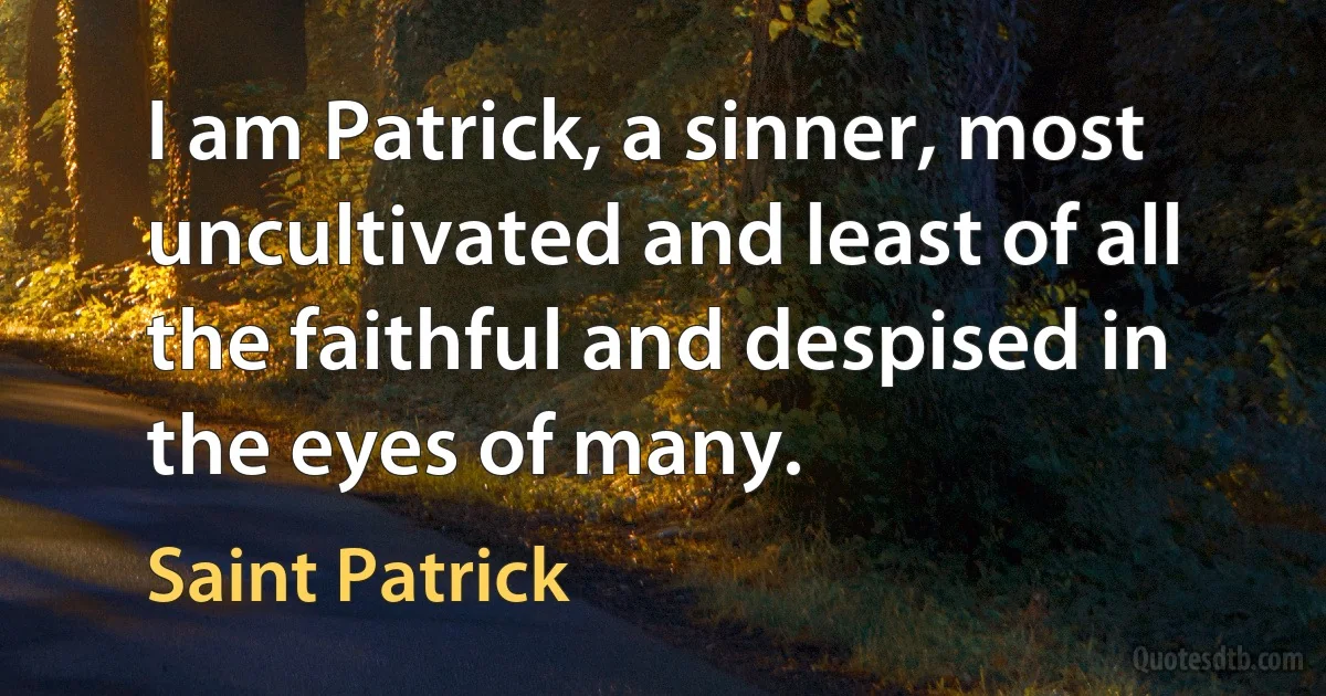 I am Patrick, a sinner, most uncultivated and least of all the faithful and despised in the eyes of many. (Saint Patrick)