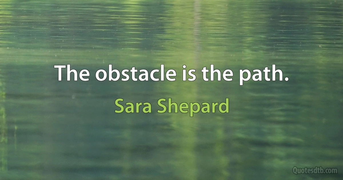 The obstacle is the path. (Sara Shepard)