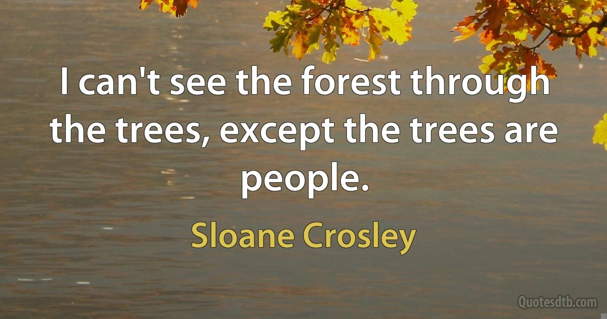 I can't see the forest through the trees, except the trees are people. (Sloane Crosley)