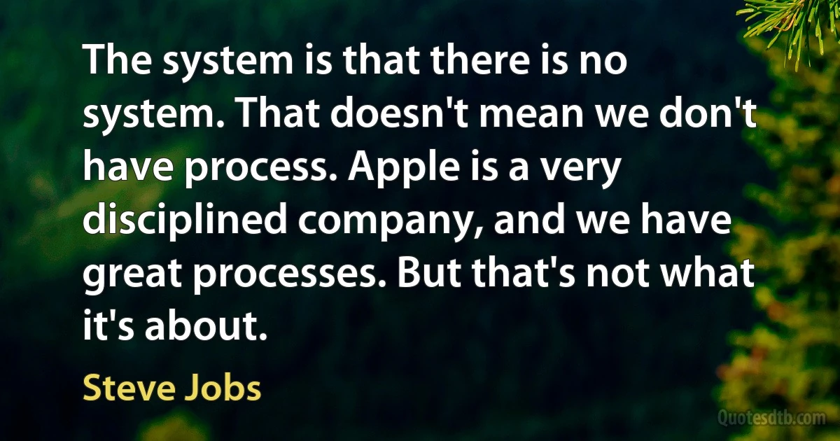 The system is that there is no system. That doesn't mean we don't have process. Apple is a very disciplined company, and we have great processes. But that's not what it's about. (Steve Jobs)