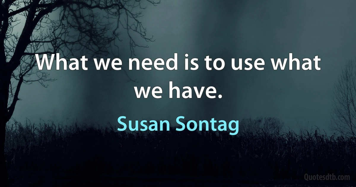 What we need is to use what we have. (Susan Sontag)