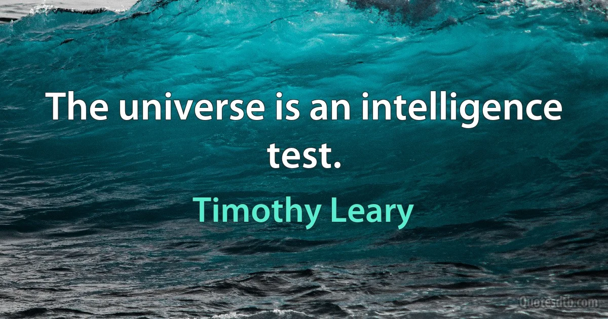 The universe is an intelligence test. (Timothy Leary)