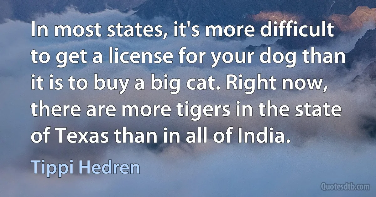 In most states, it's more difficult to get a license for your dog than it is to buy a big cat. Right now, there are more tigers in the state of Texas than in all of India. (Tippi Hedren)