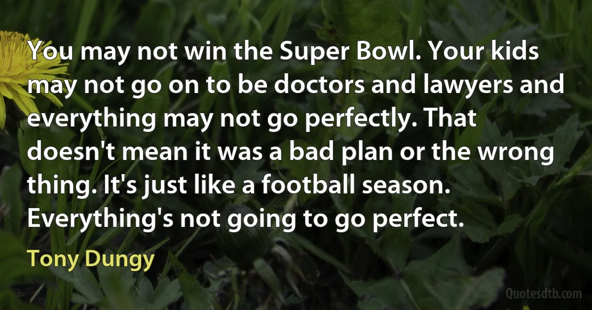 You may not win the Super Bowl. Your kids may not go on to be doctors and lawyers and everything may not go perfectly. That doesn't mean it was a bad plan or the wrong thing. It's just like a football season. Everything's not going to go perfect. (Tony Dungy)