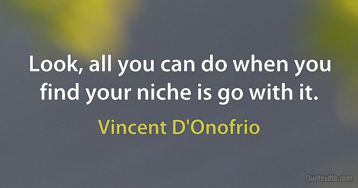 Look, all you can do when you find your niche is go with it. (Vincent D'Onofrio)