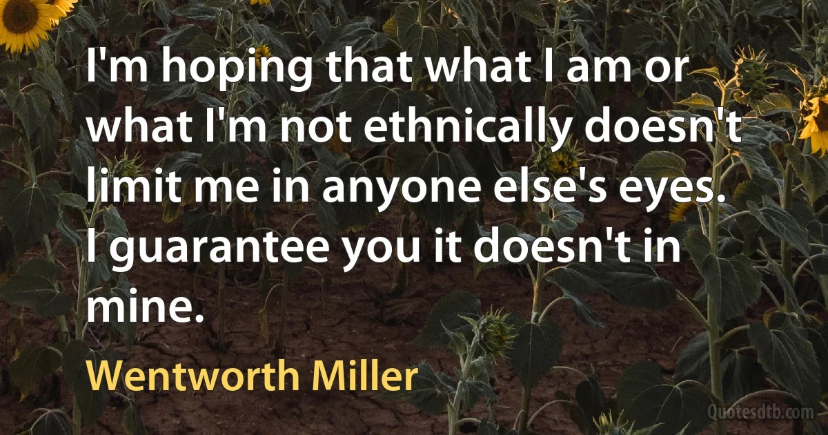 I'm hoping that what I am or what I'm not ethnically doesn't limit me in anyone else's eyes. I guarantee you it doesn't in mine. (Wentworth Miller)