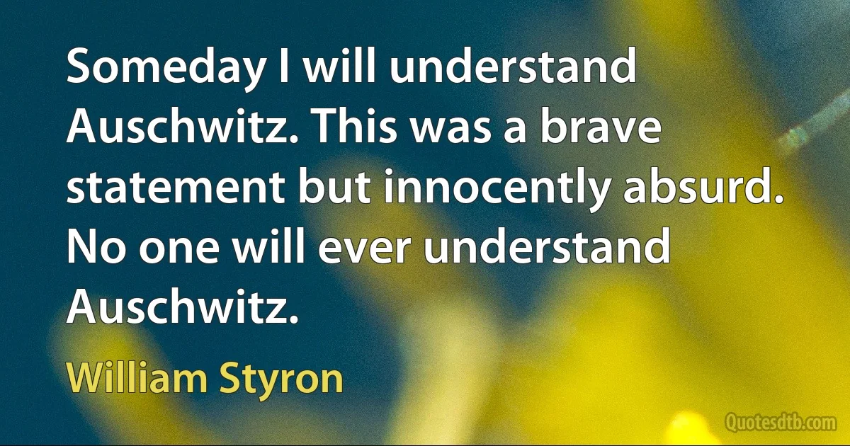 Someday I will understand Auschwitz. This was a brave statement but innocently absurd. No one will ever understand Auschwitz. (William Styron)