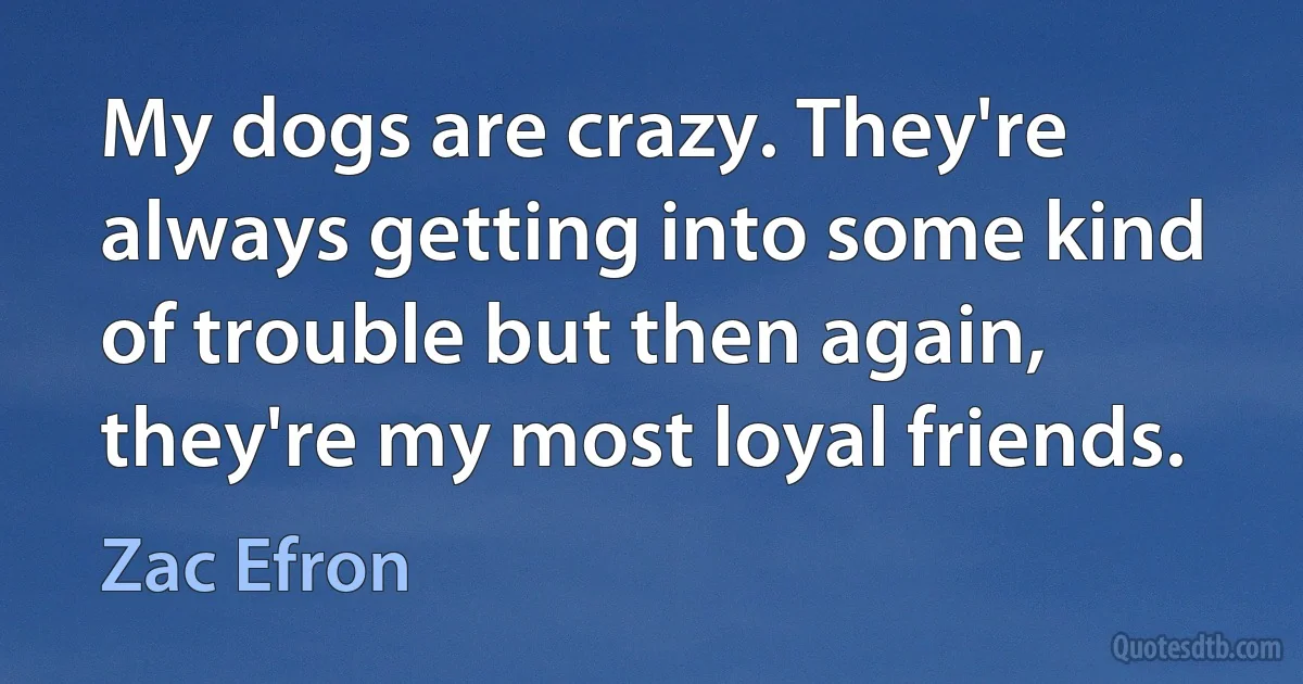 My dogs are crazy. They're always getting into some kind of trouble but then again, they're my most loyal friends. (Zac Efron)