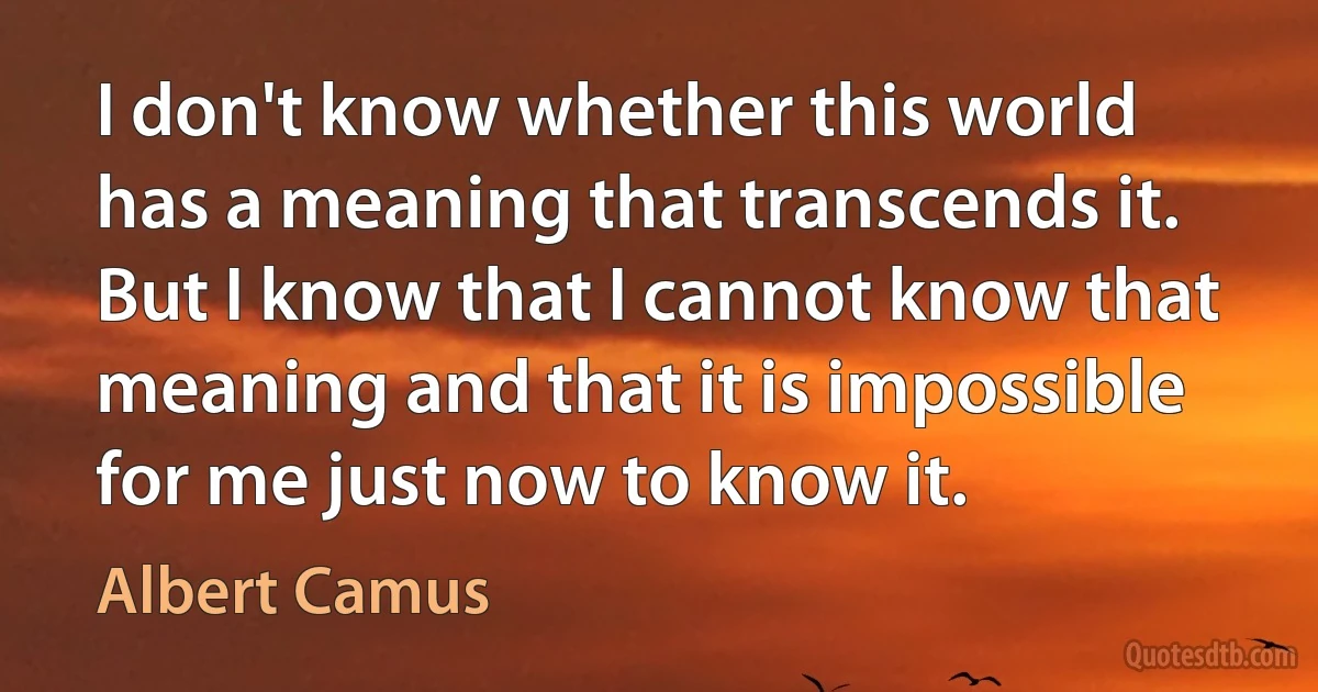 I don't know whether this world has a meaning that transcends it. But I know that I cannot know that meaning and that it is impossible for me just now to know it. (Albert Camus)