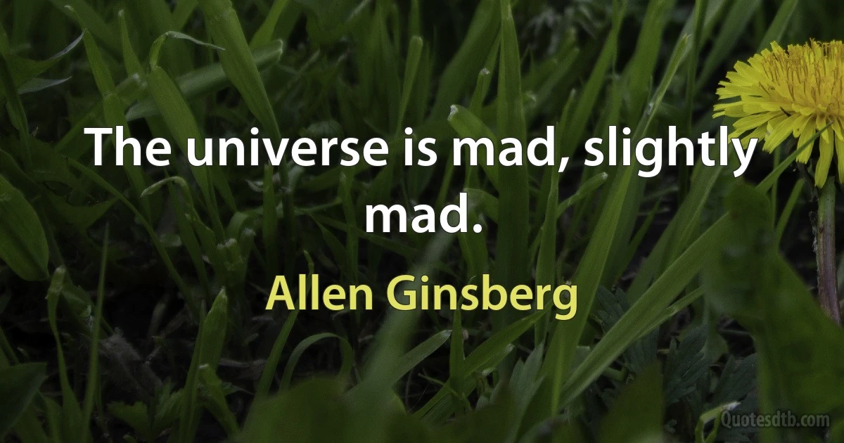 The universe is mad, slightly mad. (Allen Ginsberg)