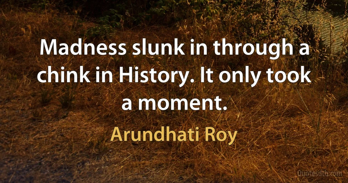 Madness slunk in through a chink in History. It only took a moment. (Arundhati Roy)