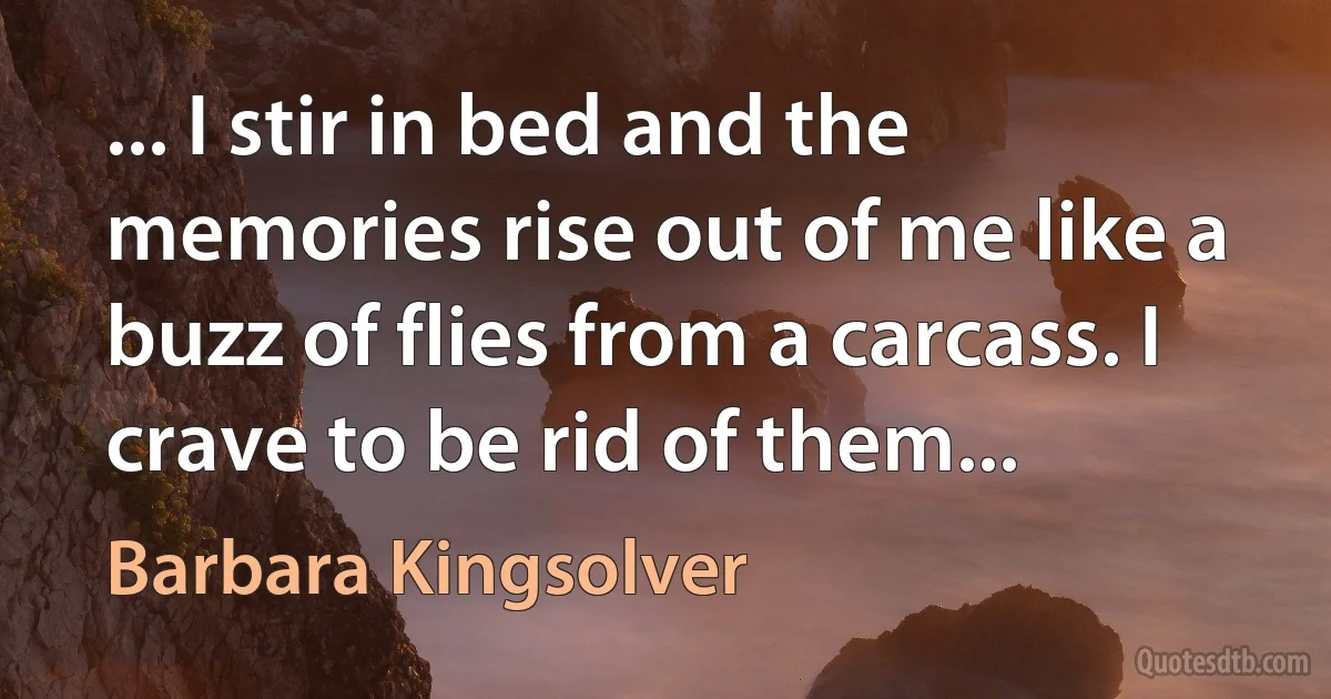 ... I stir in bed and the memories rise out of me like a buzz of flies from a carcass. I crave to be rid of them... (Barbara Kingsolver)