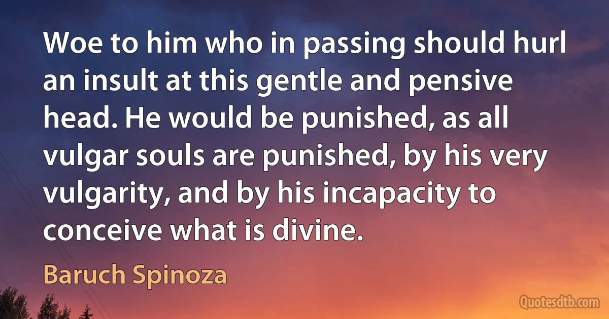 Woe to him who in passing should hurl an insult at this gentle and pensive head. He would be punished, as all vulgar souls are punished, by his very vulgarity, and by his incapacity to conceive what is divine. (Baruch Spinoza)