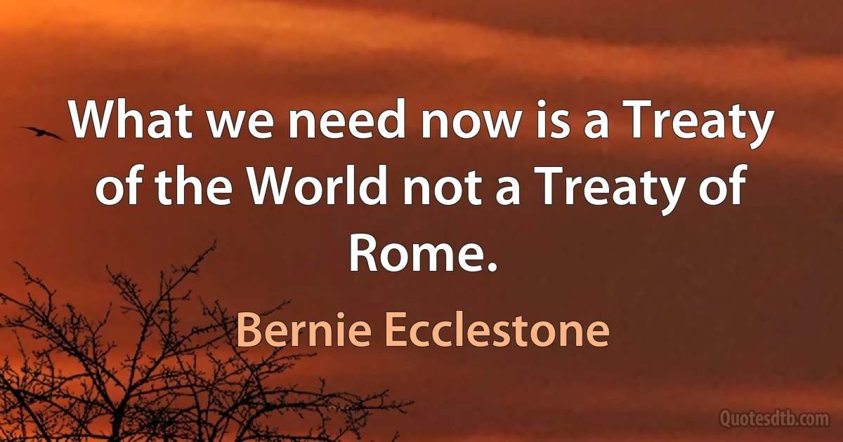 What we need now is a Treaty of the World not a Treaty of Rome. (Bernie Ecclestone)