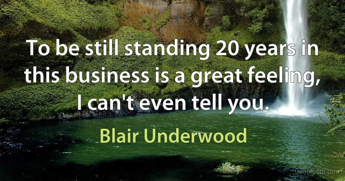 To be still standing 20 years in this business is a great feeling, I can't even tell you. (Blair Underwood)