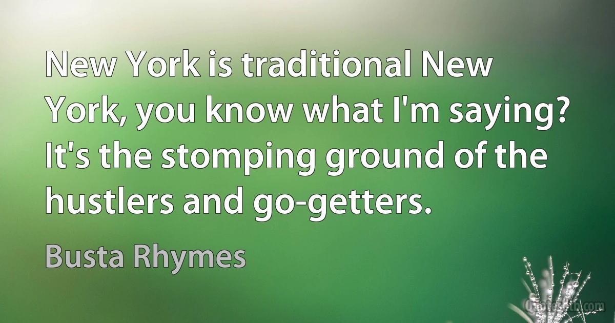 New York is traditional New York, you know what I'm saying? It's the stomping ground of the hustlers and go-getters. (Busta Rhymes)