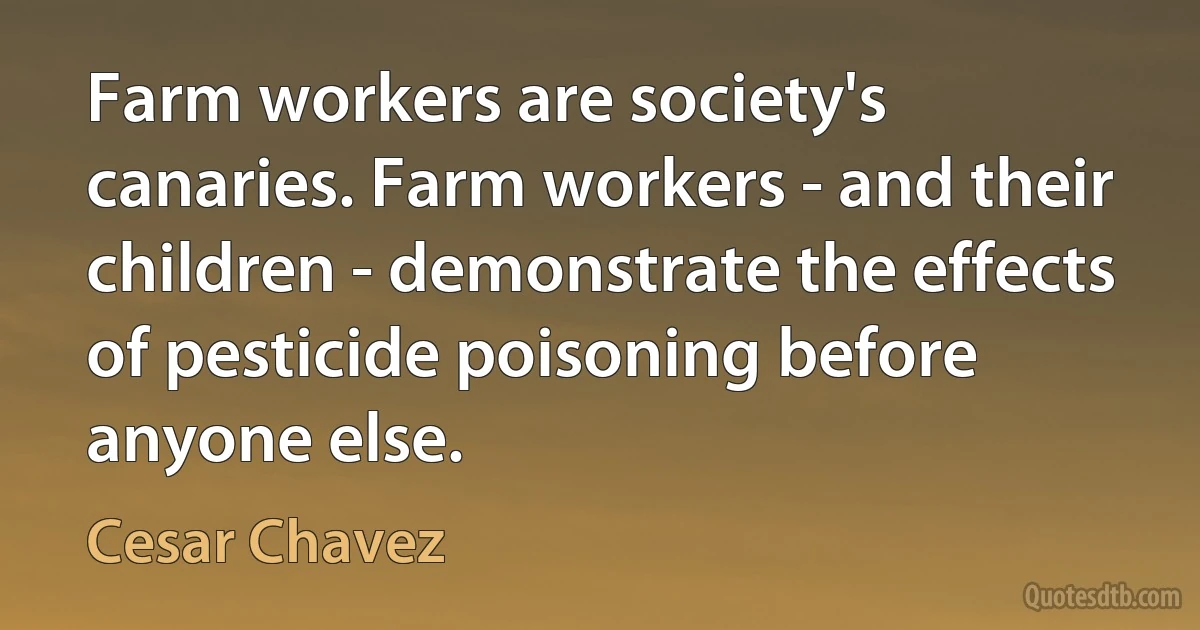 Farm workers are society's canaries. Farm workers - and their children - demonstrate the effects of pesticide poisoning before anyone else. (Cesar Chavez)