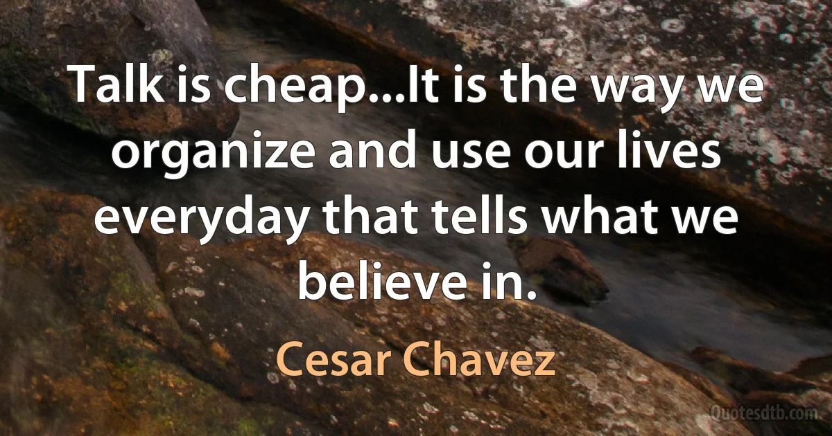 Talk is cheap...It is the way we organize and use our lives everyday that tells what we believe in. (Cesar Chavez)