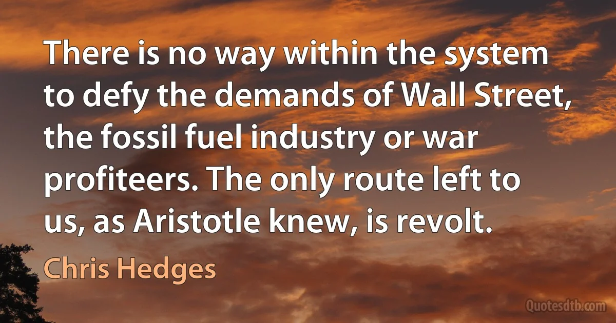 There is no way within the system to defy the demands of Wall Street, the fossil fuel industry or war profiteers. The only route left to us, as Aristotle knew, is revolt. (Chris Hedges)