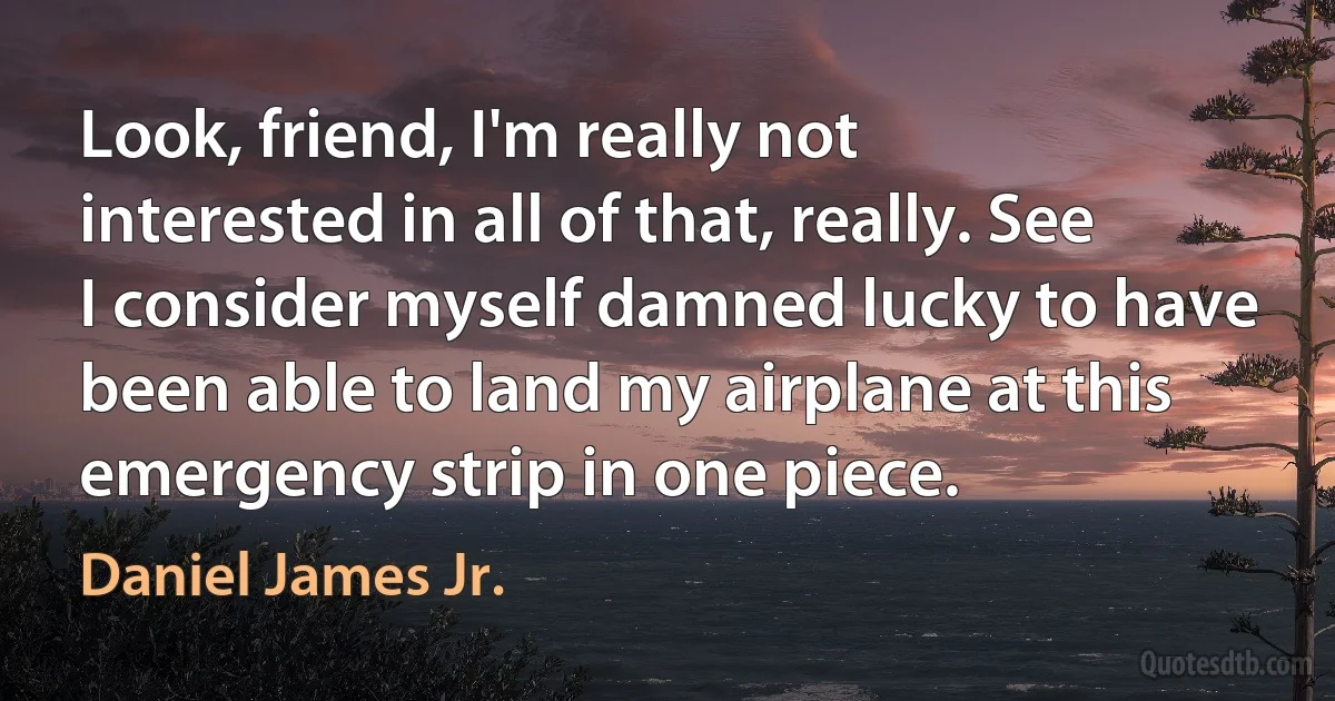 Look, friend, I'm really not interested in all of that, really. See I consider myself damned lucky to have been able to land my airplane at this emergency strip in one piece. (Daniel James Jr.)