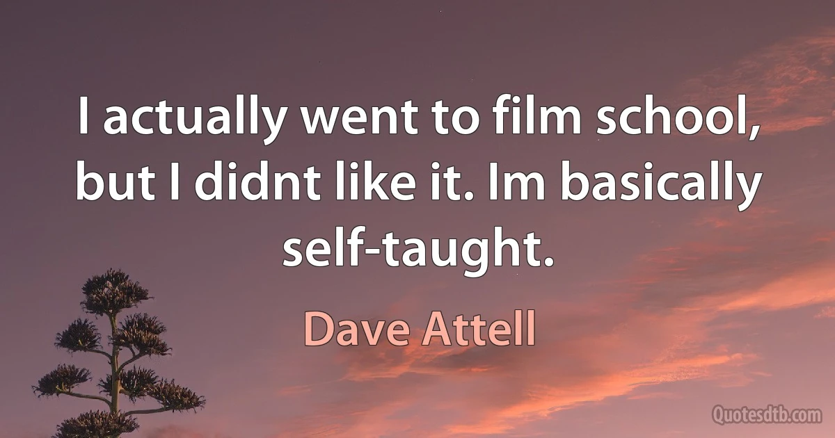 I actually went to film school, but I didnt like it. Im basically self-taught. (Dave Attell)