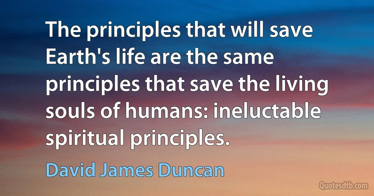 The principles that will save Earth's life are the same principles that save the living souls of humans: ineluctable spiritual principles. (David James Duncan)