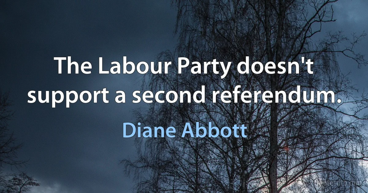 The Labour Party doesn't support a second referendum. (Diane Abbott)