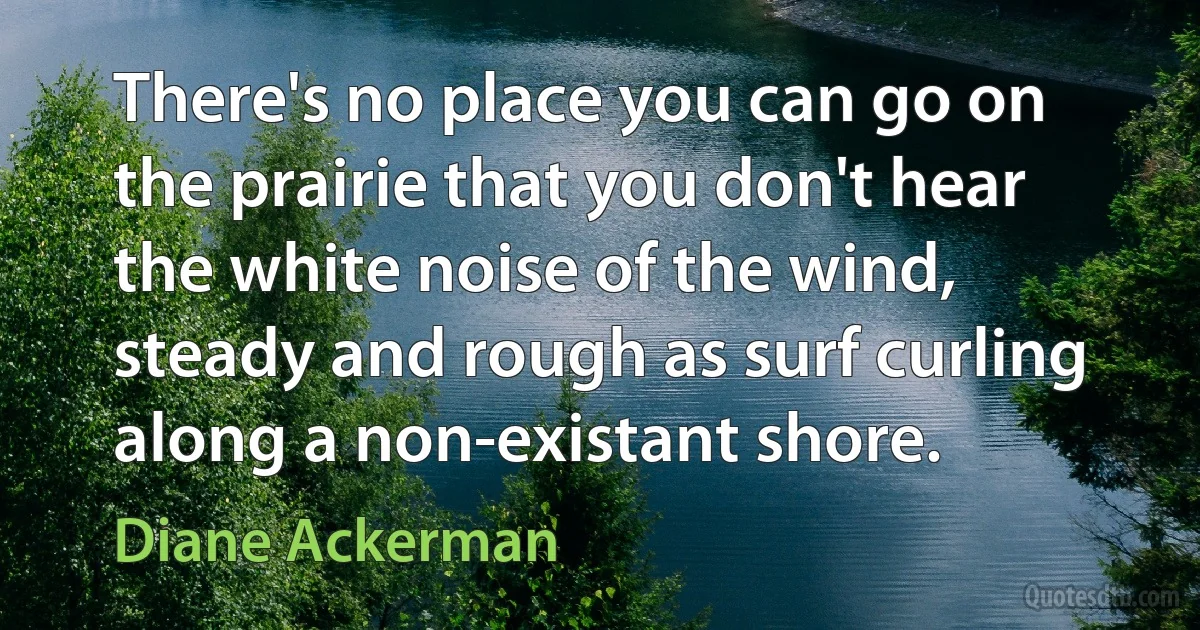 There's no place you can go on the prairie that you don't hear the white noise of the wind, steady and rough as surf curling along a non-existant shore. (Diane Ackerman)