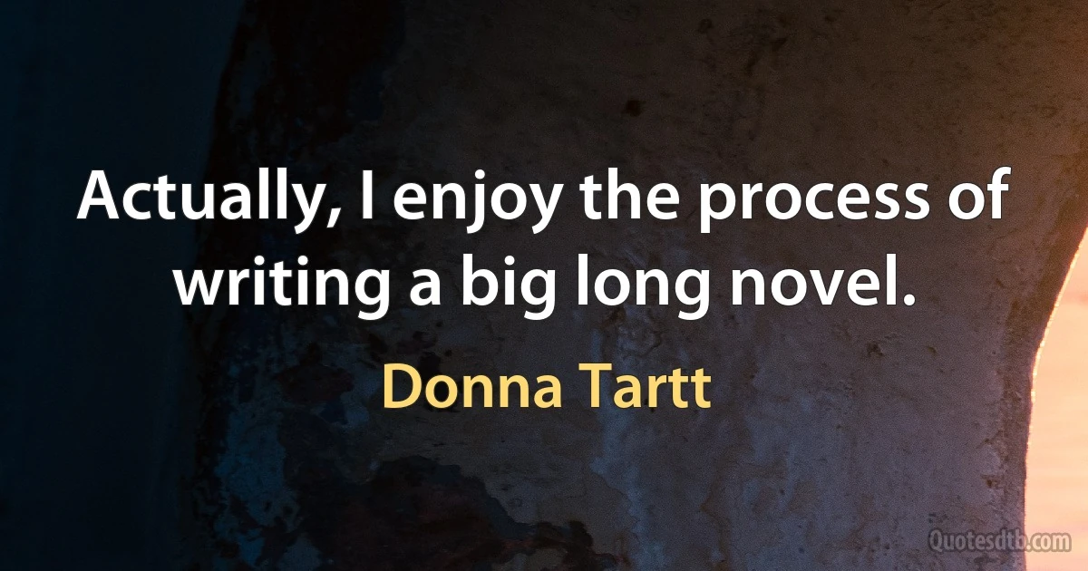 Actually, I enjoy the process of writing a big long novel. (Donna Tartt)