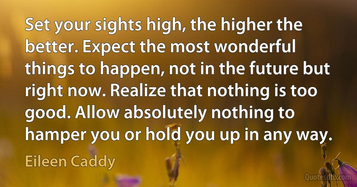 Set your sights high, the higher the better. Expect the most wonderful things to happen, not in the future but right now. Realize that nothing is too good. Allow absolutely nothing to hamper you or hold you up in any way. (Eileen Caddy)