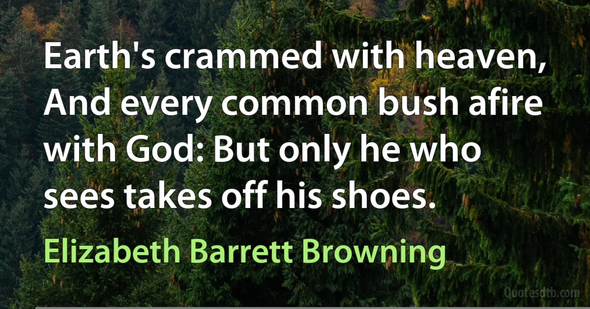 Earth's crammed with heaven, And every common bush afire with God: But only he who sees takes off his shoes. (Elizabeth Barrett Browning)